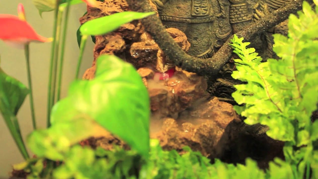 products of glycolysis Very nice setup for my crested HDHDHDHD