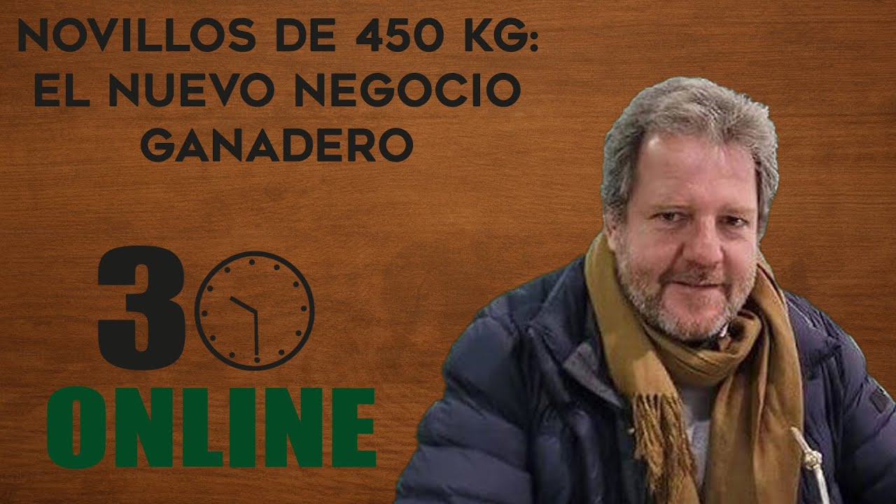 Novillos de 450 kg: el nuevo negocio ganadero | Juan Pedro Colombo | #30online