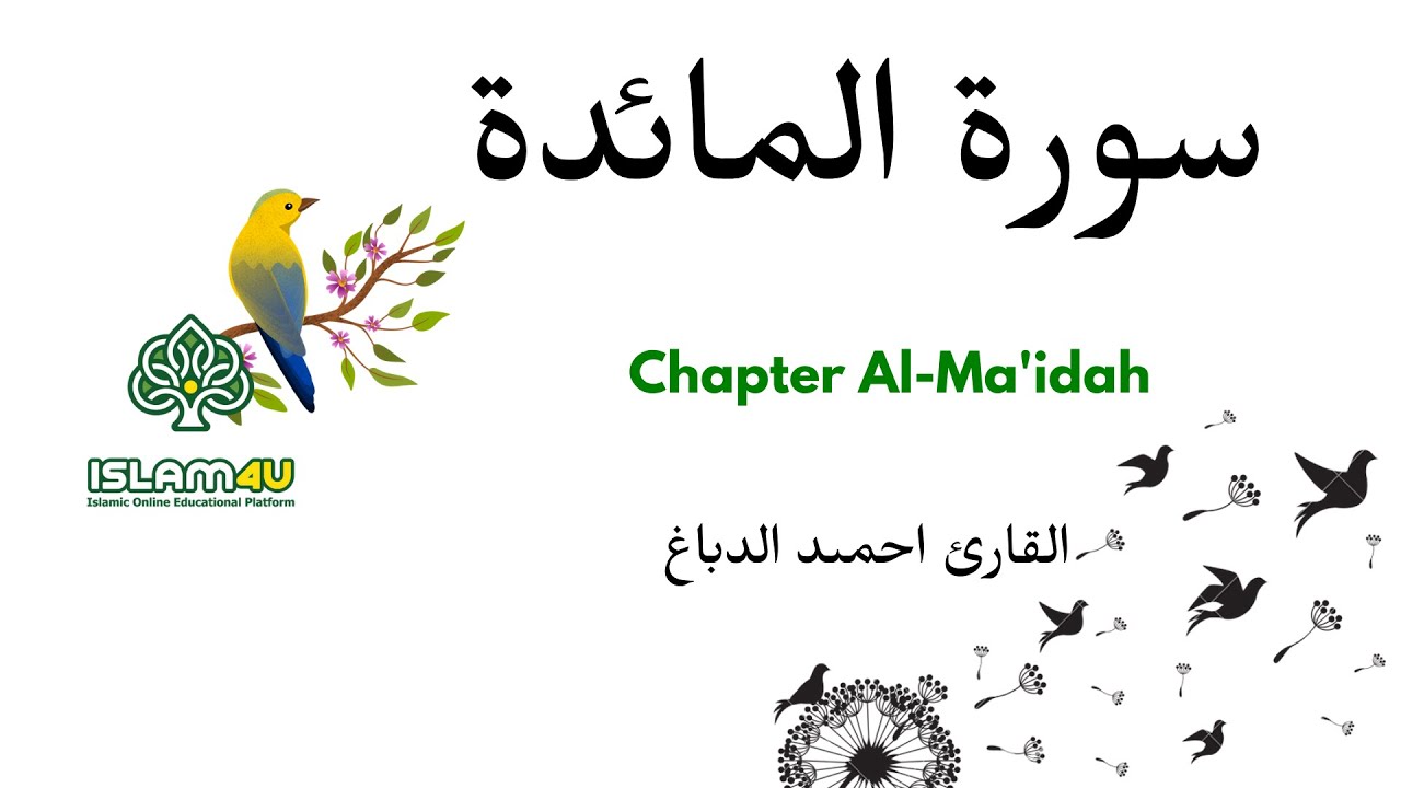 Chapter Al-Ma'idah | سورة المائدة | احمد الدباغ