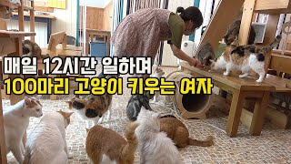 100여마리 고양이 돌보다 2억 빚에 최악의 상황까지 내몰린 그녀 "남편한테 미안해요"