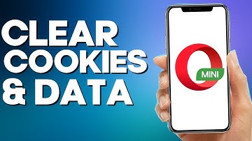 How to Clear Cookies and Data on Opera mIni