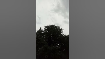 هو الذي يريكم البرق خوفا وطمعا وينشي السحاب الثقال ويسبح الرعد بحمده.  سورة الرعد، آية 12