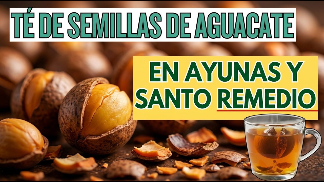 TÉ de SEMILLA de AGUACATE: Para Qué Sirve y Qué Enfermedades Combate