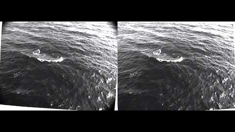 ggb_phd_fine_modeledimages.avi