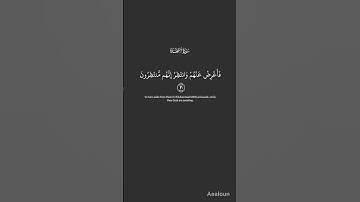 القارئ عبد الرحمن مسعد ❤️ | السجدة {30}