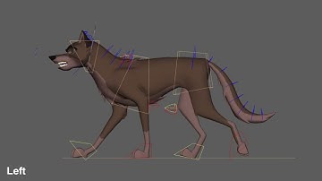 Maya Dog walking animation