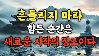 힘든 순간은 새로운 시작의 징조이다｜흔들리지 마라｜부처님말씀｜석가모니｜명언｜잠잘때듣는｜인생조언｜삶의지혜｜좋은글｜지혜｜불교｜철학｜명상｜시니어｜오디오북｜ASMR