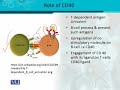 BT302 Immunology Lecture No 93