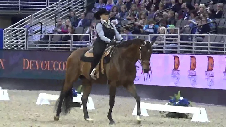 Lynn Palm and Hot N Royal FEI World Cup Finals Dre...