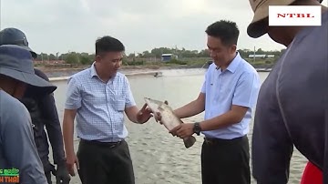 NUÔI CÁ CHẼM THU LÃI TRĂM TỶ