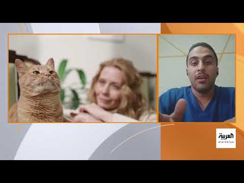 وفاة مربي قطط بسبب عدوى رئوية تثير جدلاً حول سلامة الحيوانات الأليفة