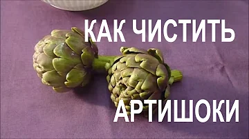 АРТИШОКИ Как Почистить Артишоки Come Pulire i Carciofi