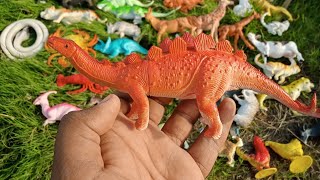 Unboxing Plastic Wild Animals Order Alibaba || dinosaur Cow Lion Tiger Cat Dog Camel lobster Crab Resimi