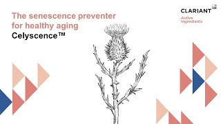 Celyscence™ – The senescence preventer for healthy aging