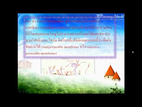 โครงสร้างเซลล์