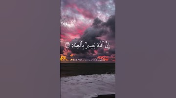 سورة غافر آيه {٤٤} #المصحف #quran #راحة_نفسية #islamicfestival #اكسبلور #حالات_واتس #islamicholiday