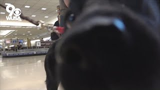 Emotional support dog arrives to help US Capitol Police officers
