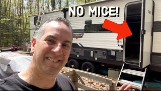 Have Mice In Your RV? Mouse Free Product Review Update!