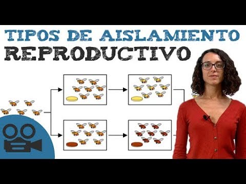 Vídeo: Diferencia Entre Precigóticos Y Poscigóticos