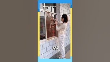 Màn lưới chống côn trùng dán cửa sổ