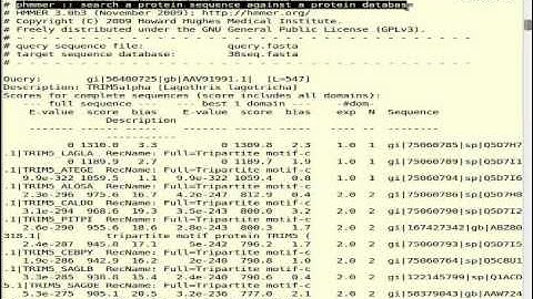 HMM tool in LINUX (phmmer)