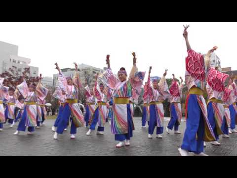 「空～Qou～」四日市よさこい祭り2016【市民公園会場】