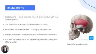 UKBB: A fully automated deep learning pipeline to assess muscle mass in brain tumor patients