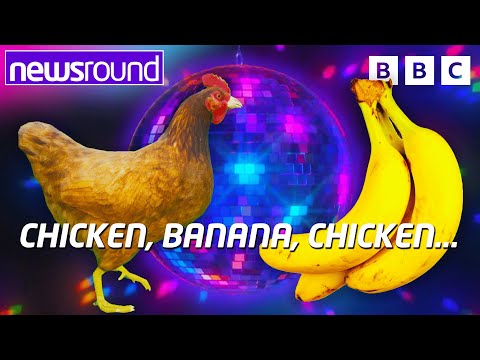 What Is The Viral Chicken Banana Song And Why Is It So Popular Newsround