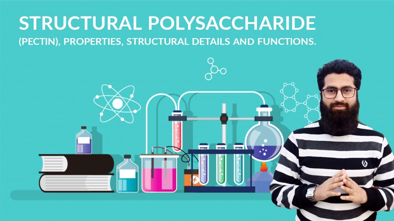 Important polysaccharide (Pectin) Carbohydrate Aqib Shahzad YouTube