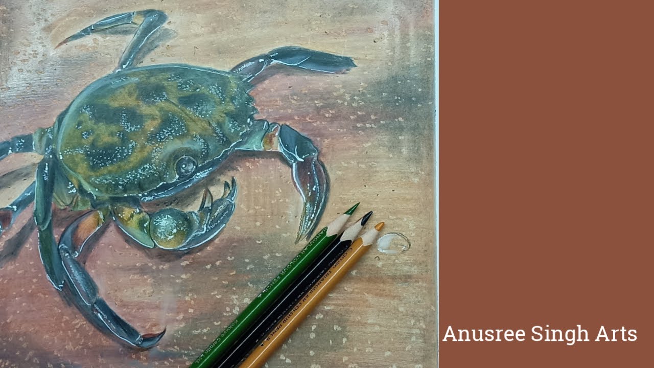 Drawing realistic crab with colour pencils.Hyper realistic crab drawing.Anusree Singh Arts.SUBSCRIBE
