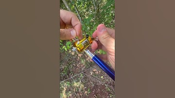 Micro Pen Fishing Rod Test on backyard Pond #fishing #pondlife #bassfishing #pondfishing #ponds