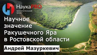 Научное значение многослойного поселения Ракушечный Яр – археолог Андрей Мазуркевич | Научпоп