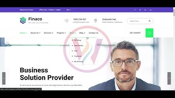 WordPress Theme Finaco Demo Video
