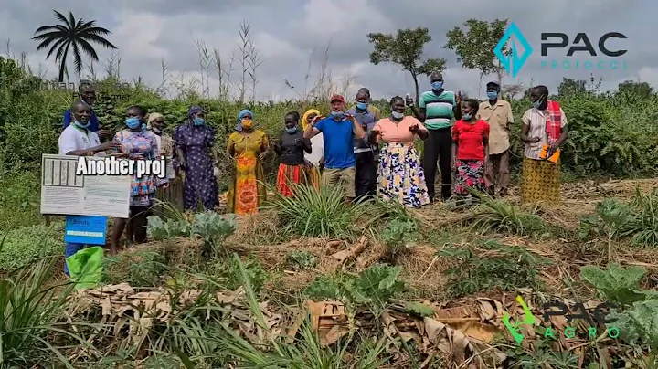 Introducing syntropic agroforestry in East Africa part 1