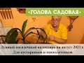 Голова садовая - Лунный посадочный календарь на август 2021 г. Для кустарников и многолетников