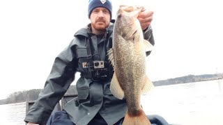 Did I win the tournament? I caught a big bass Lake Norman