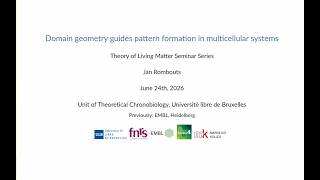 Dr Jan Rombouts (UL Bruxelles) - Domain geometry guides pattern formation in multicellular systems