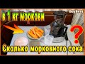 Сколько морковного сока в 1 кг моркови | Соковыжималка Xiaomi MIUI с Али. Свежевыжатый морковный сок