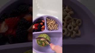 Toddler meal ideas, breakfast for toddlers #toddlerbreakfast #toddlermeals #breakfast