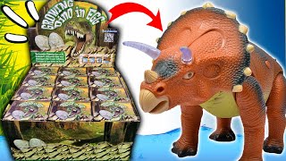 STYRACOSAURUS, TIRANOSAURIO REX, TRICERATOPS | DINOSAURIOS DEL CRETACICO | ¡INCREIBLES!