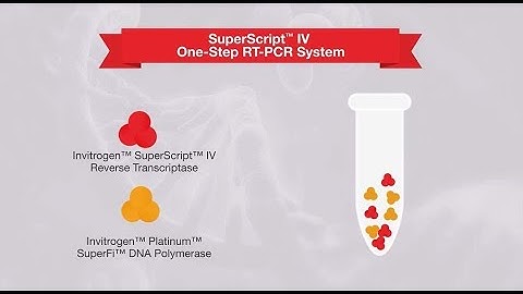 Which RT-PCR Method to Choose? One-Step vs Two-Step