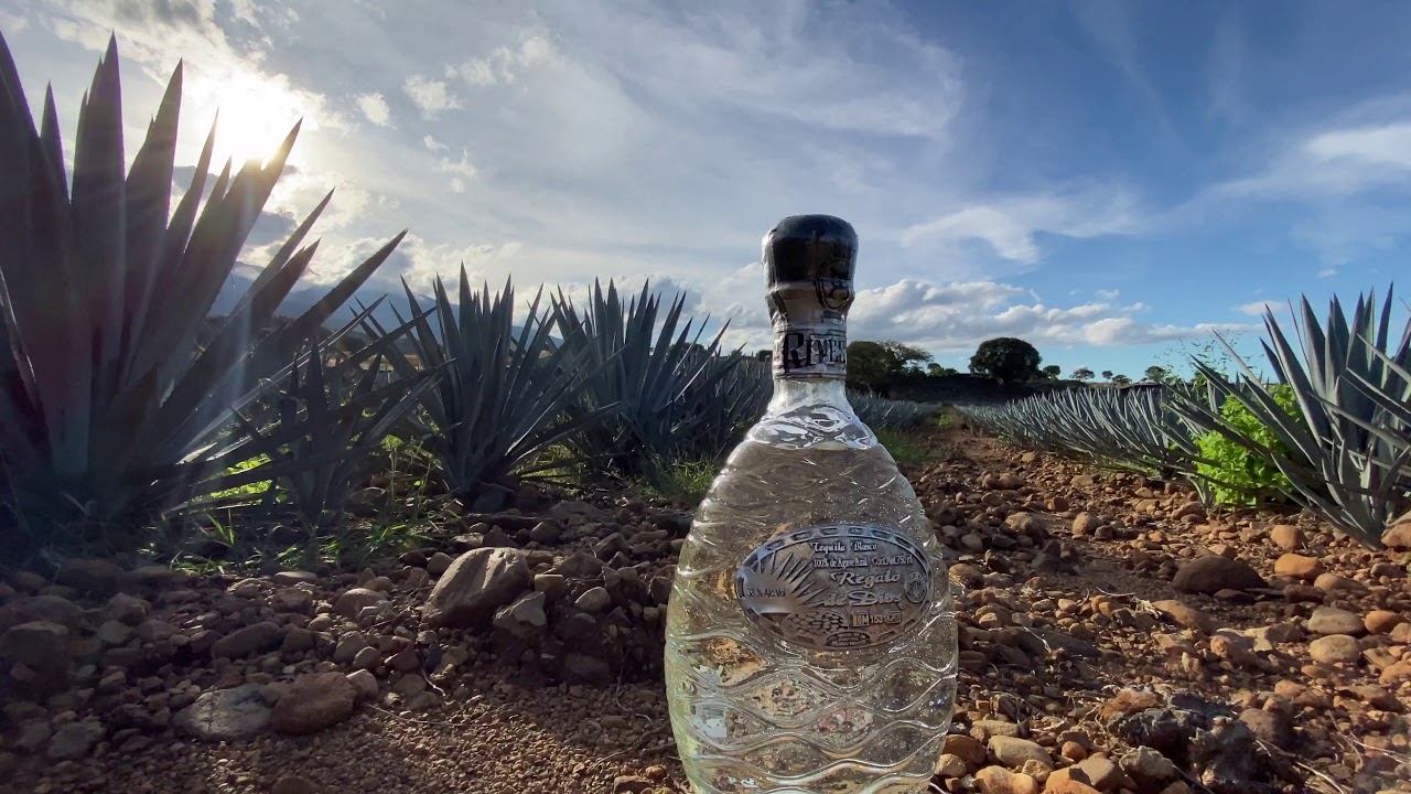 Tequila Regalo De Dios by Tequila Rivesca YouTube