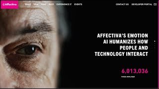 Affectiva Pitch During Riseup17