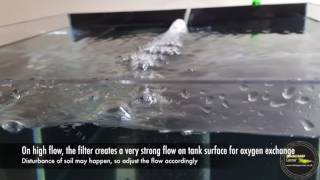 T2 filter - effective filtration for shrimp tank