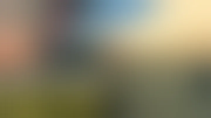 雌雄大盜VS快槍手警察，究竟誰的槍更快？ - 天天要聞