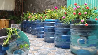 Vasos de Flores com Garrafas de Plástico Combinadas com Tanque de Peixes