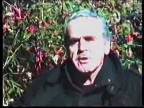 \"შემოდგომაა\". რობერტ ბარძიმაშვილი. \"ვია 75\"  ВИА-75 .  VIA-75 .