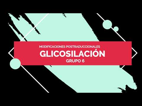Vídeo: Diferencia Entre Glicación Y Glicosilación