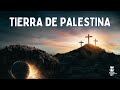 TIERRA DE PALESTINA | Himno Majestuoso #253 | Música y Letra