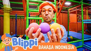 Blippi Mengunjungi Taman Bermain Anakanak Funtastic Playtorium | Blippi Bahasa Indonesia